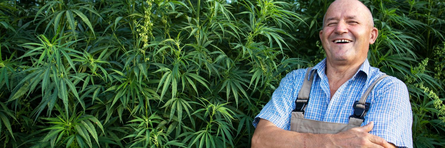 Cannabis Insurance Massachusetts