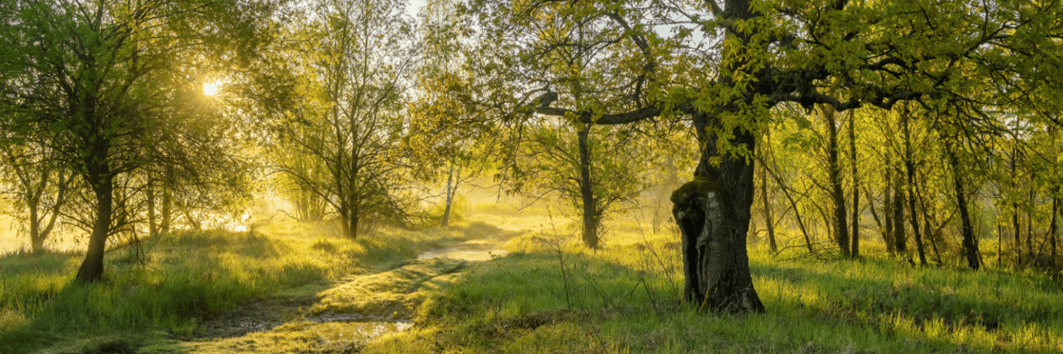 Land Insurance Massachusetts