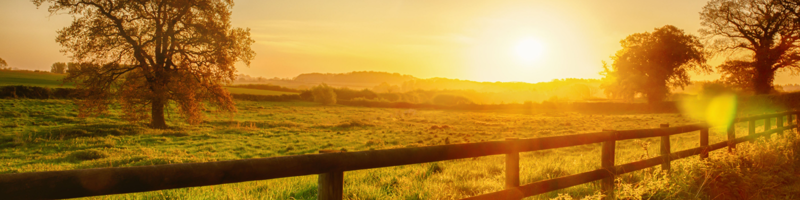 Land Insurance Massachusetts