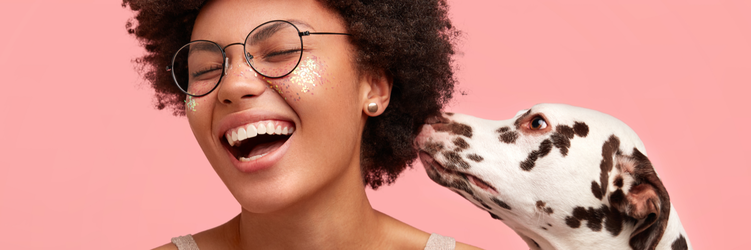 Pet Boarding Insurance Massachusetts