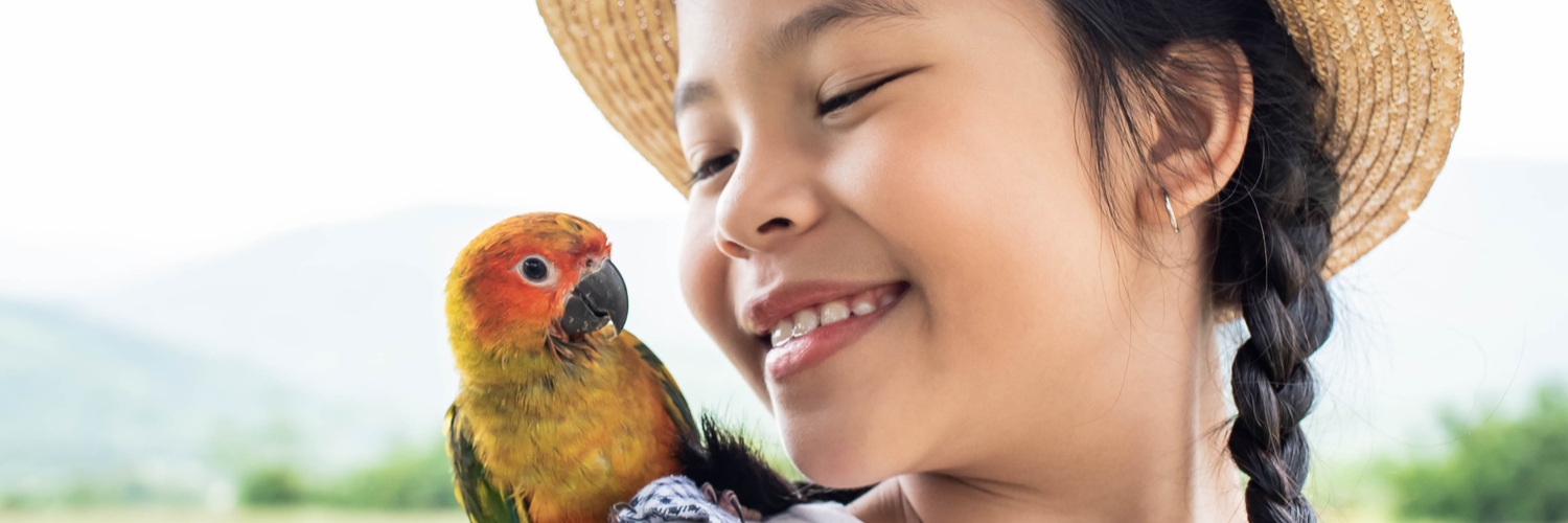 Pet Boarding Insurance Massachusetts