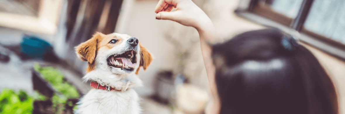 Insurance in Belmont, MA Garrity Insurance Agency