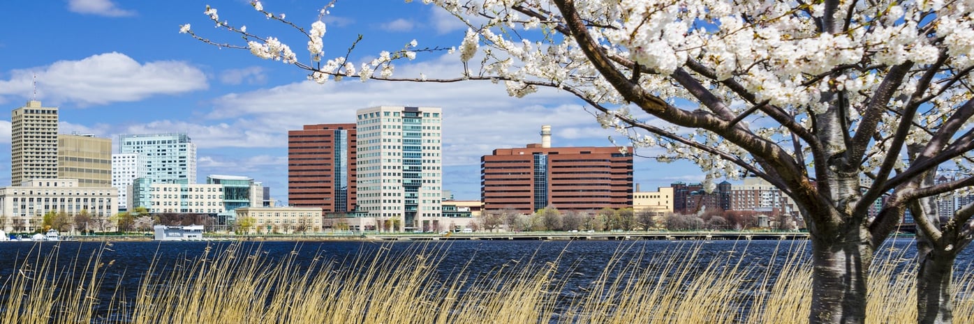 Insurance in Cambridge, MA